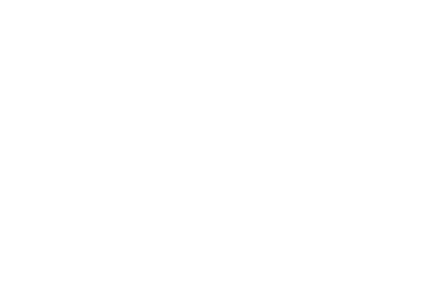 DMS Primavera